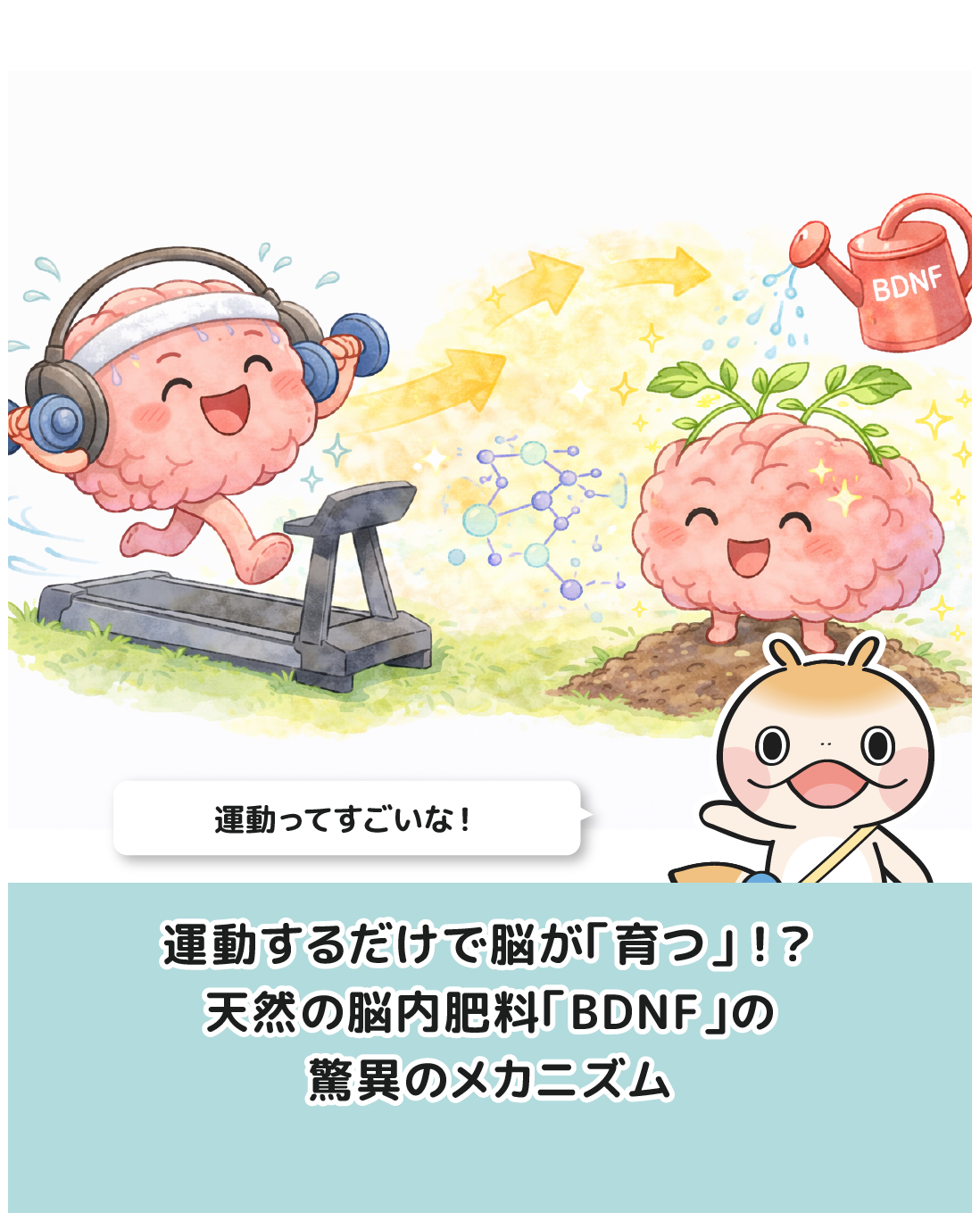 運動するだけで脳が「育つ」！？ 天然の脳内肥料「BDNF」の驚異のメカニズム