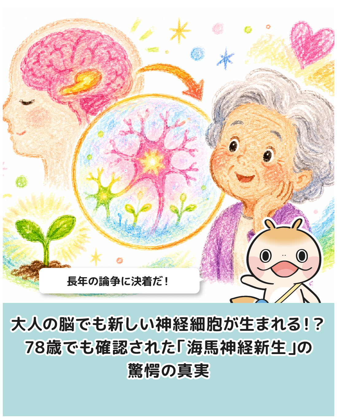 大人の脳でも新しい神経細胞が生まれる！？78歳でも確認された「海馬神経新生」の驚愕の真実