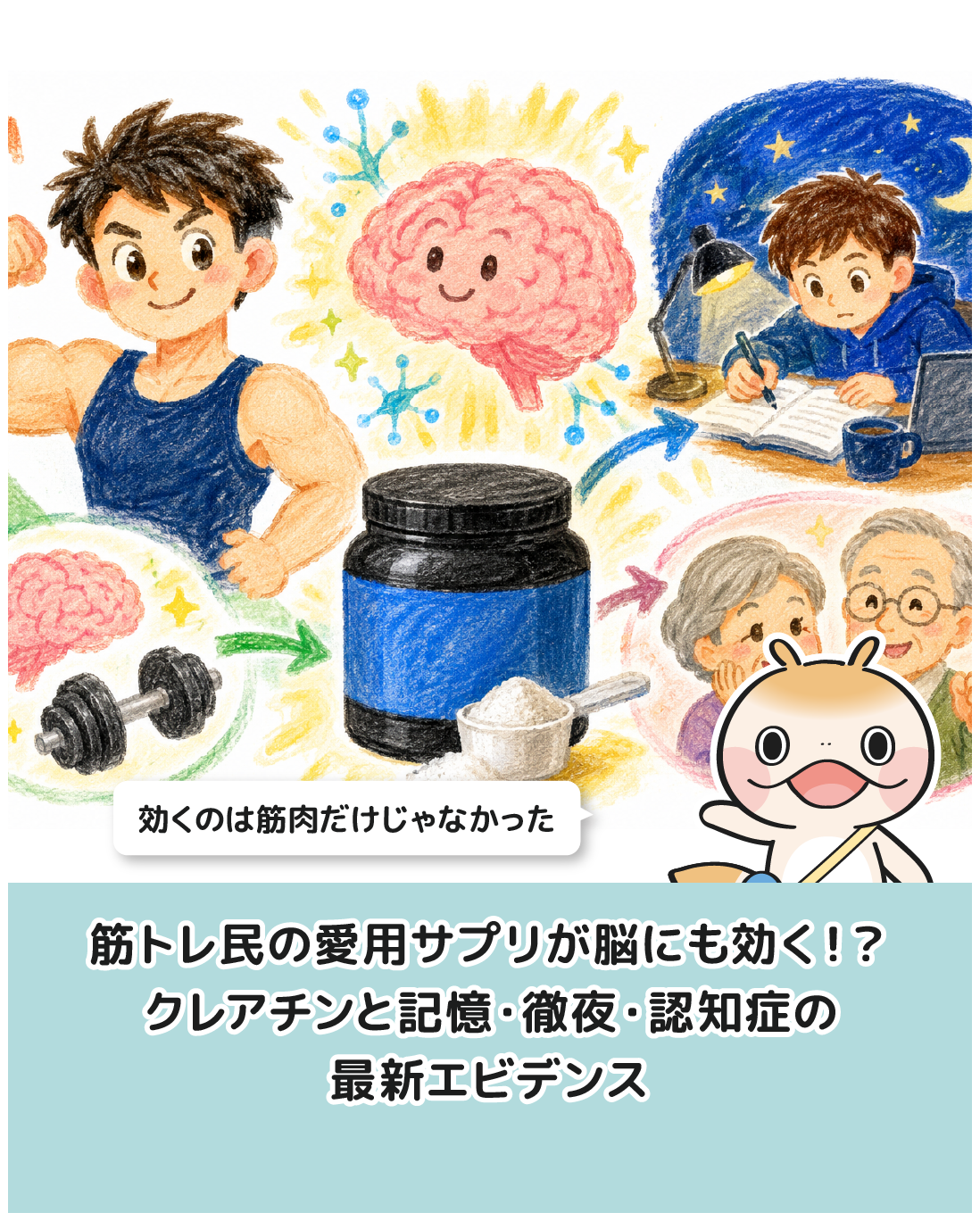 筋トレ民の愛用サプリが脳にも効く！？クレアチンと記憶・徹夜・認知症の最新エビデンス