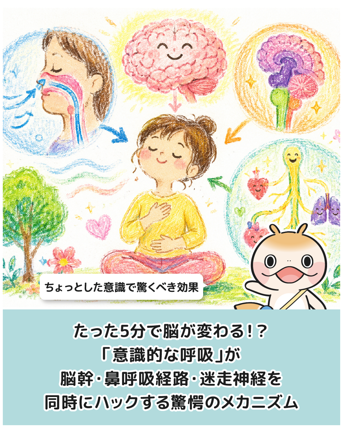 たった5分で脳が変わる！？「意識的な呼吸」が脳幹・鼻呼吸経路・迷走神経を同時にハックする驚愕のメカニズム