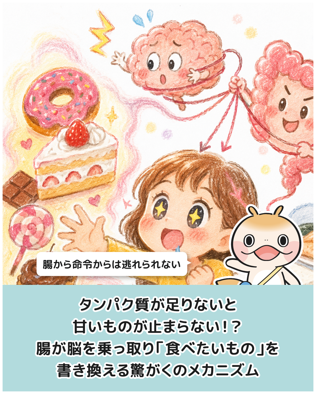 タンパク質が足りないと甘いものが止まらない！？腸が脳を乗っ取り「食べたいもの」を書き換える驚がくのメカニズム