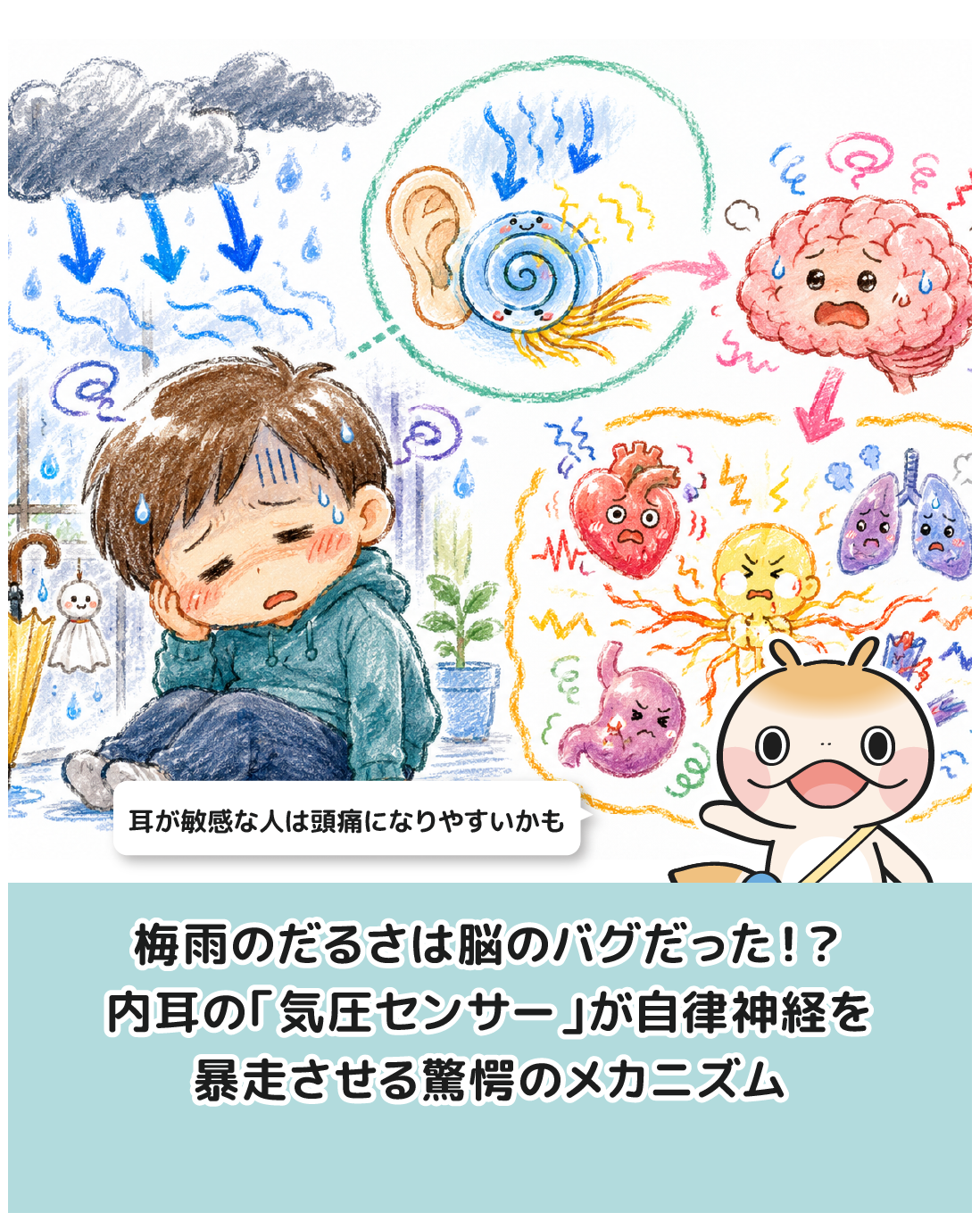 梅雨のだるさは脳のバグだった！？内耳の「気圧センサー」が自律神経を暴走させる驚愕のメカニズム