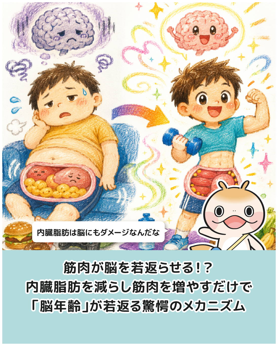 筋肉が脳を若返らせる！？内臓脂肪を減らし筋肉を増やすだけで「脳年齢」が若返る驚愕のメカニズム