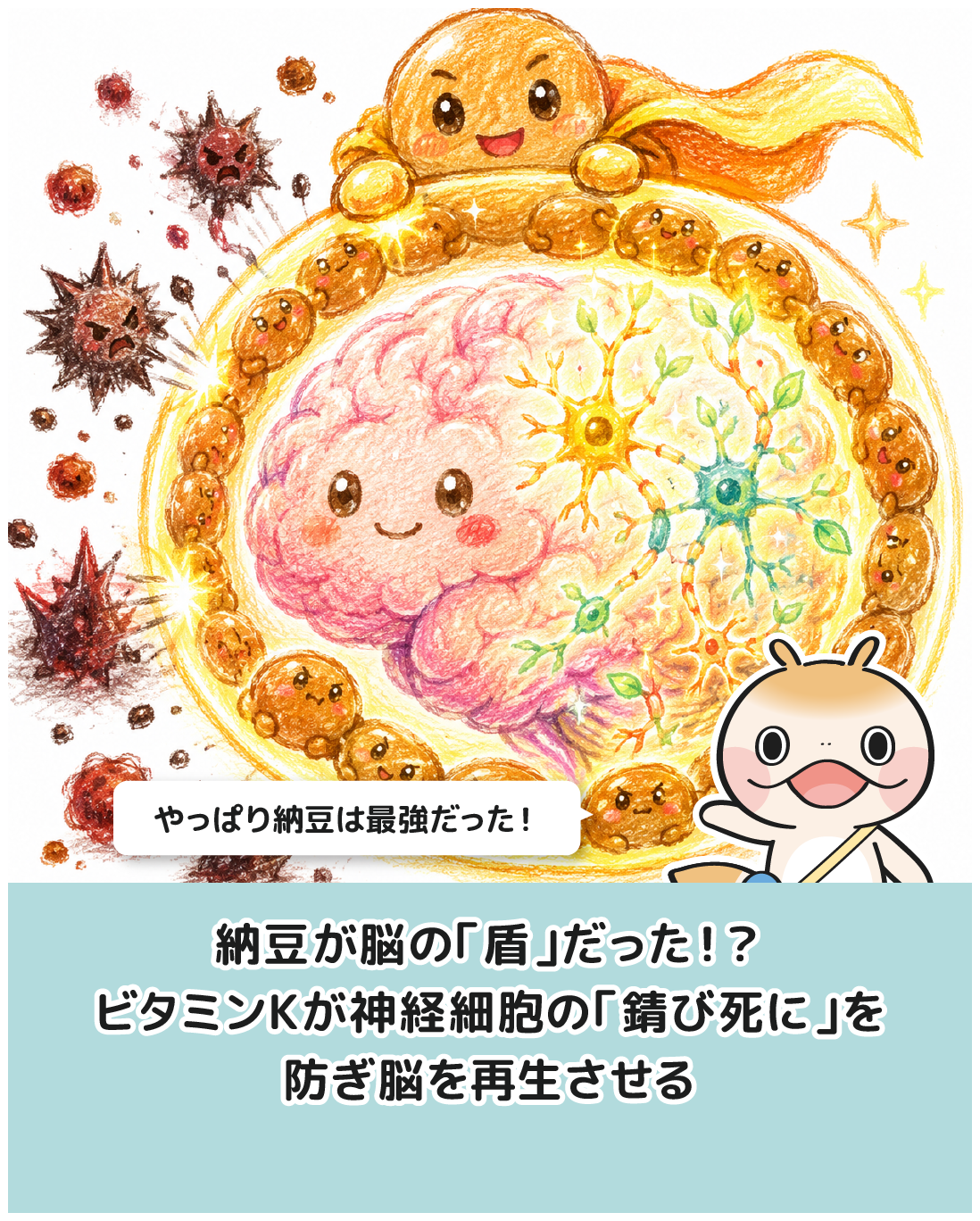 納豆が脳の「盾」だった！？ビタミンKが神経細胞の「錆び死に」を防ぎ脳を再生させる