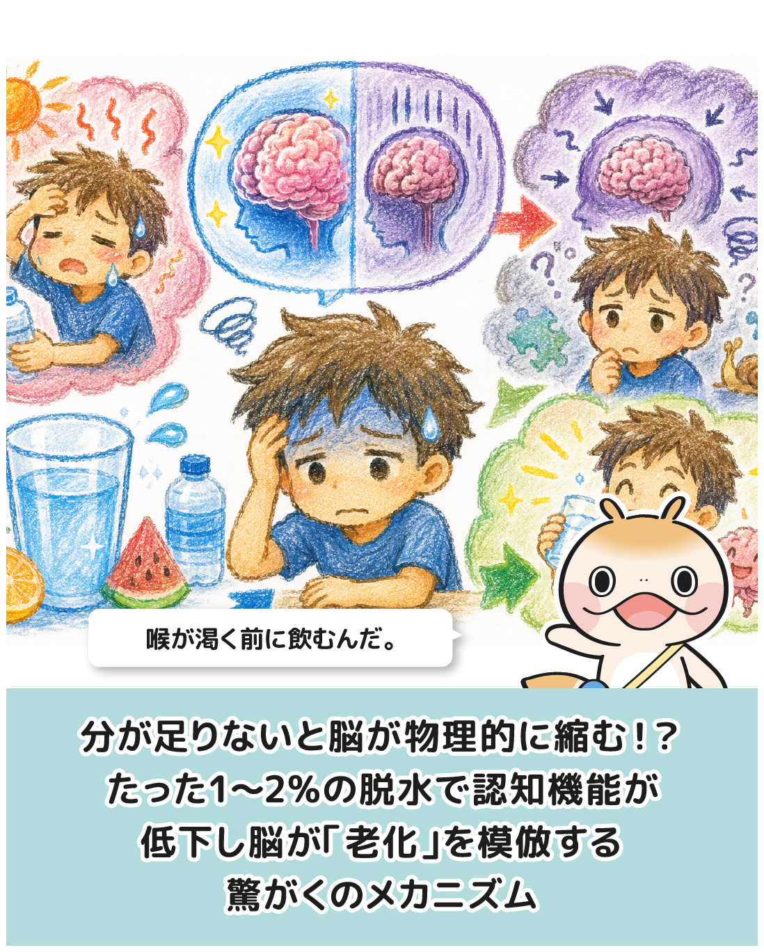 分が足りないと脳が物理的に縮む！？たった1〜2%の脱水で認知機能が低下し脳が「老化」を模倣する驚がくのメカニズム