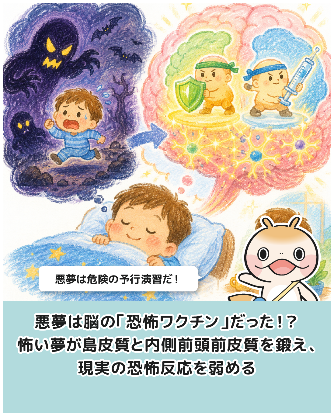 悪夢は脳の「恐怖ワクチン」だった！？怖い夢が島皮質と内側前頭前皮質を鍛え、現実の恐怖反応を弱める驚がくのメカニズム