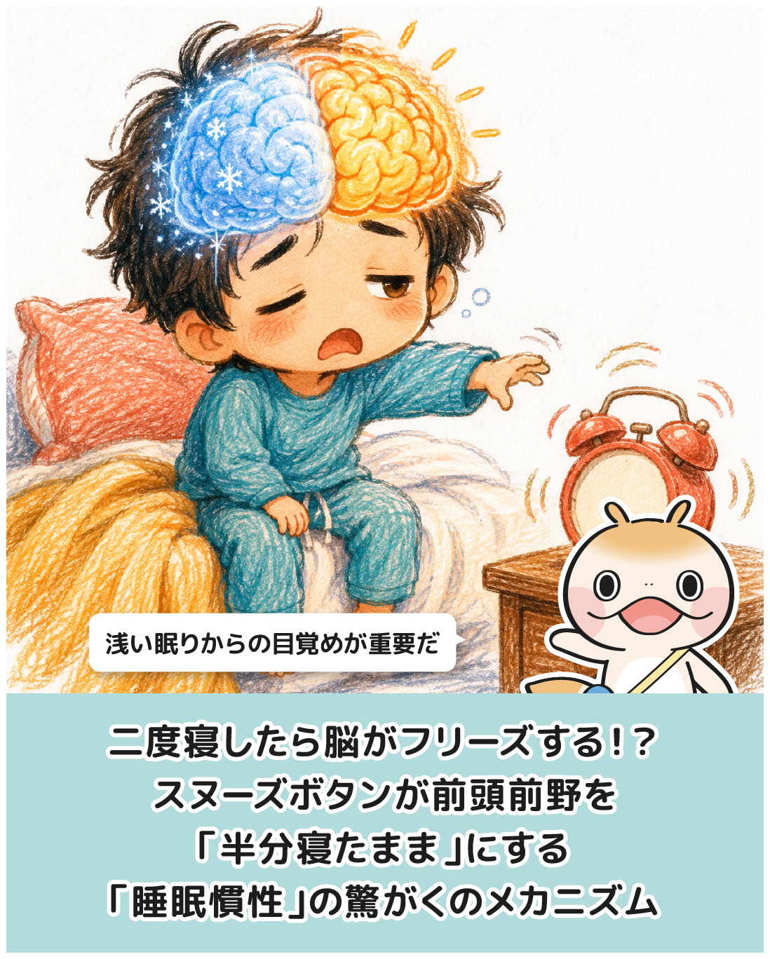 二度寝したら脳がフリーズする！？スヌーズボタンが前頭前野を「半分寝たまま」にする「睡眠慣性」の驚がくのメカニズム