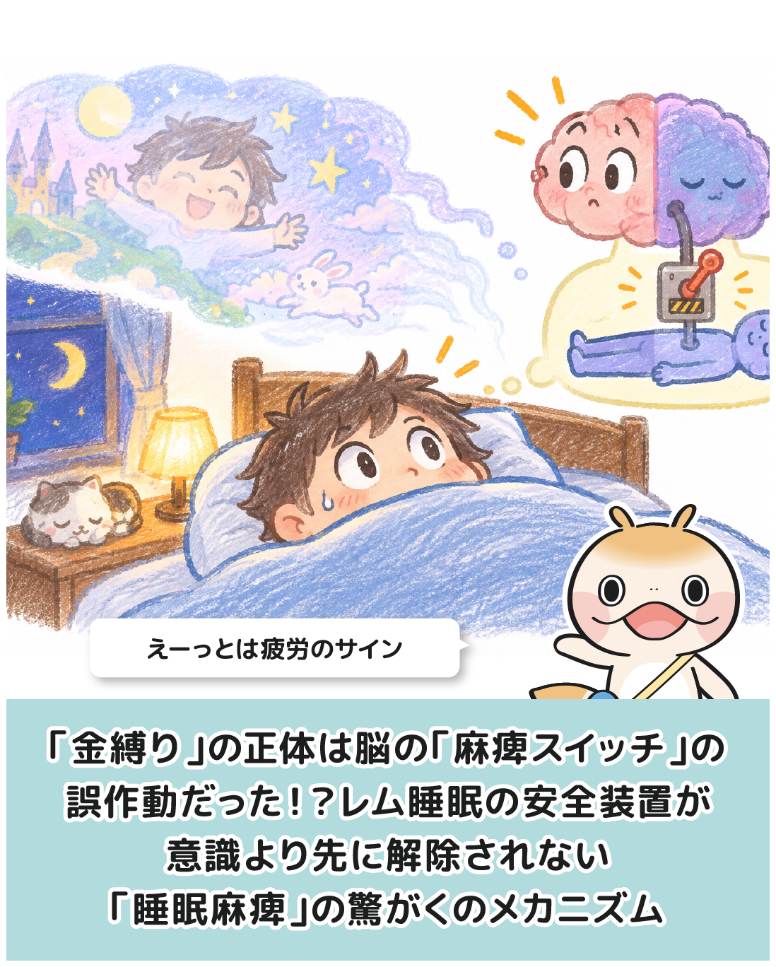 「金縛り」の正体は脳の「麻痺スイッチ」の誤作動だった！？レム睡眠の安全装置が意識より先に解除されない「睡眠麻痺」の驚がくのメカニズム