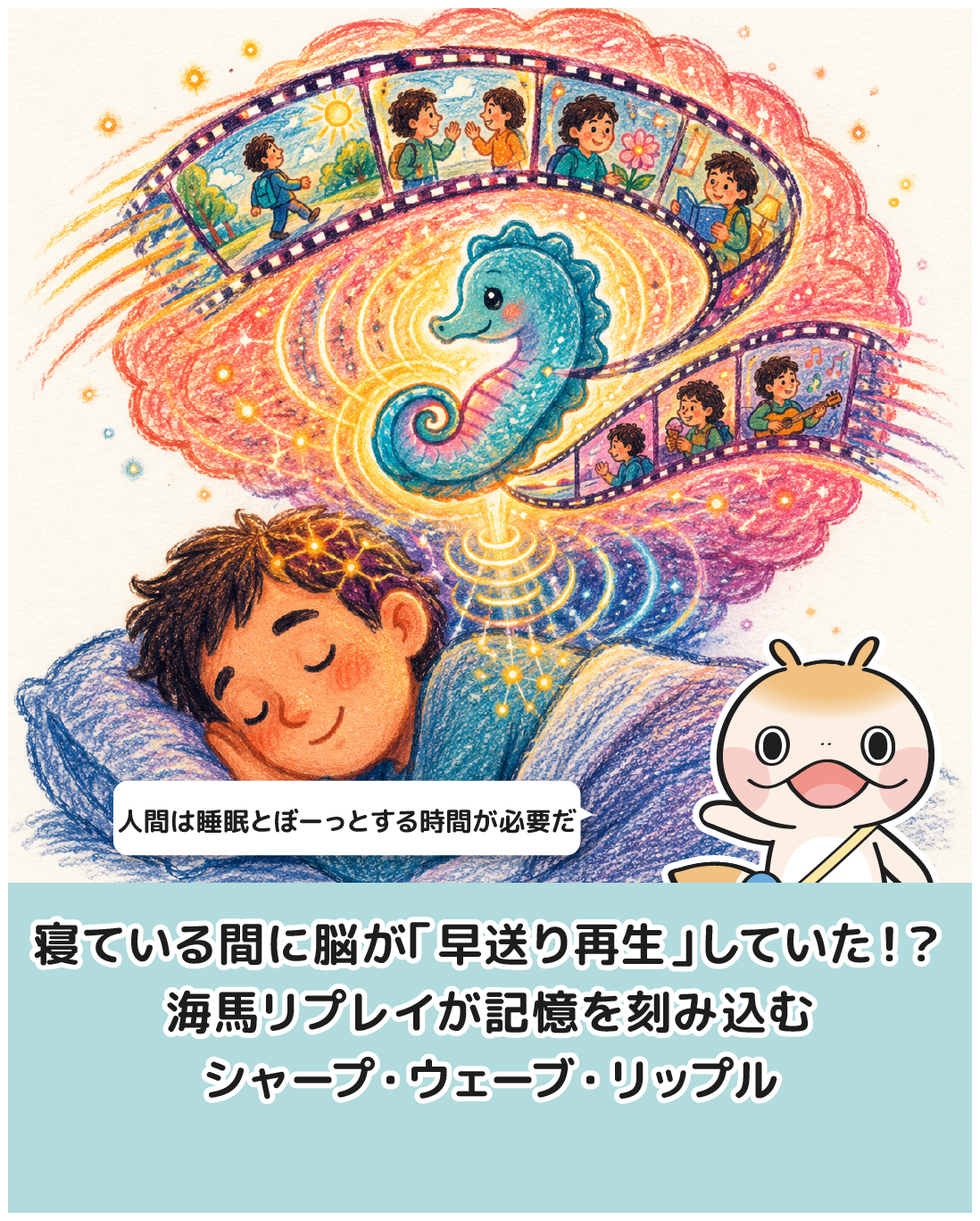 寝ている間に脳が「早送り再生」していた！？海馬リプレイが記憶を刻み込むシャープ・ウェーブ・リップル