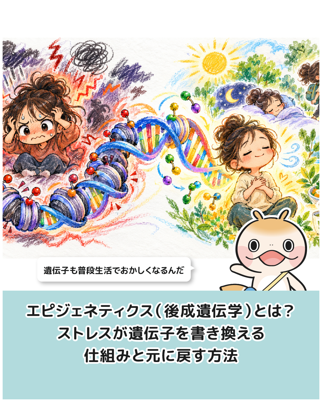 エピジェネティクス（後成遺伝学）とは？ストレスが遺伝子を書き換える仕組みと元に戻す方法