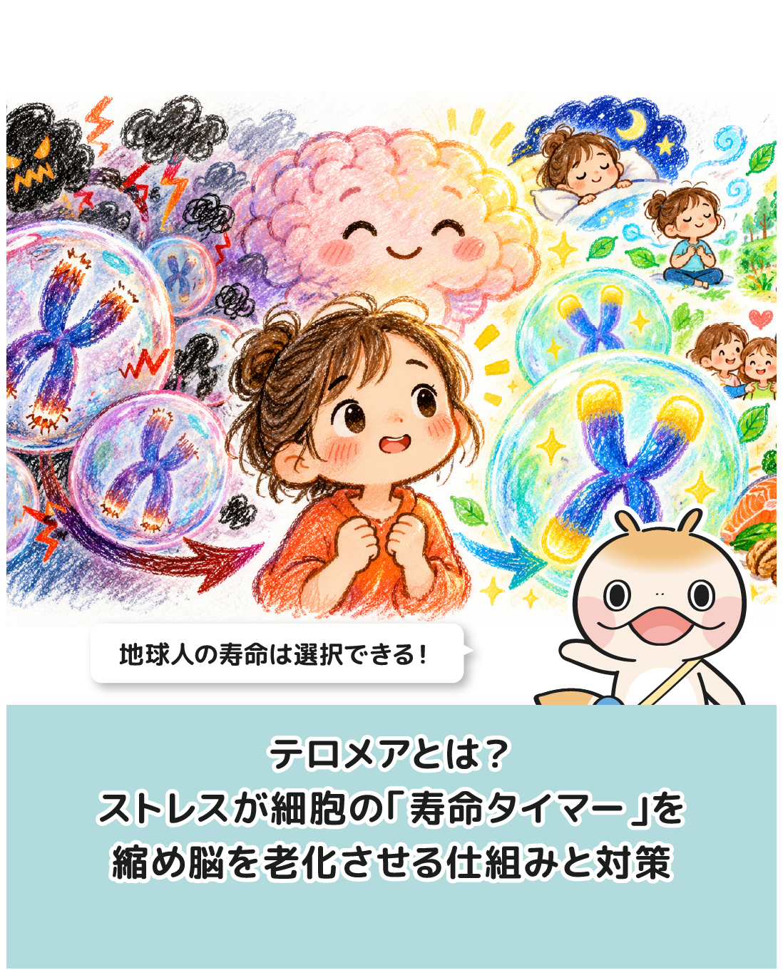 テロメアとは？ストレスが細胞の「寿命タイマー」を縮め脳を老化させる仕組みと対策