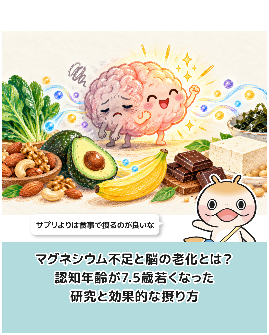 マグネシウム不足と脳の老化とは？認知年齢が7.5歳若くなった研究と効果的な摂り方