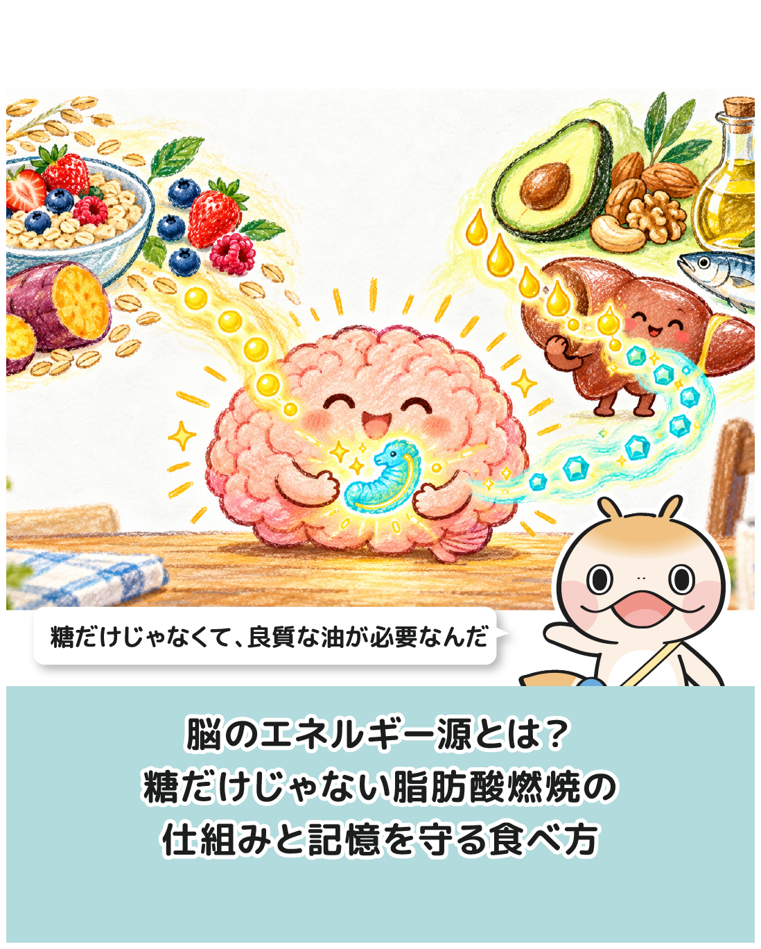脳のエネルギー源とは？糖だけじゃない脂肪酸燃焼の仕組みと記憶を守る食べ方